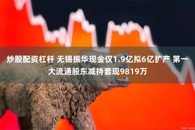 炒股配资杠杆 无锡振华现金仅1.9亿拟6亿扩产 第一大流通股东减持套现9819万