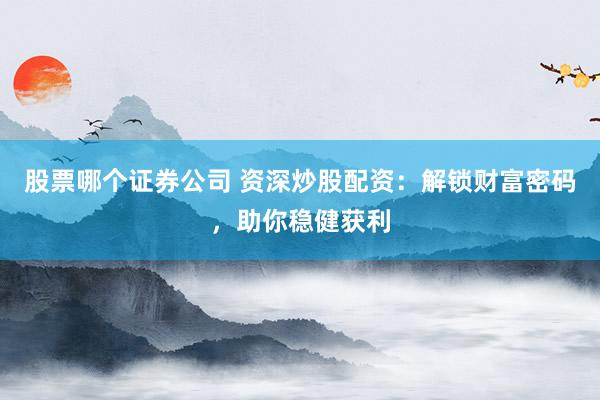 股票哪个证券公司 资深炒股配资：解锁财富密码，助你稳健获利