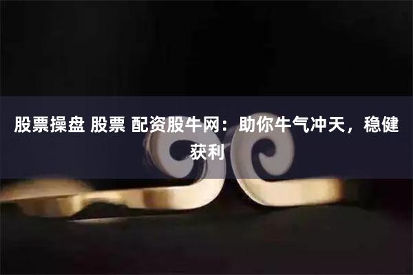 股票操盘 股票 配资股牛网：助你牛气冲天，稳健获利